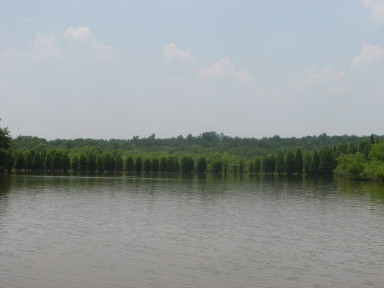 The Reserve at High Rock Lake, NC