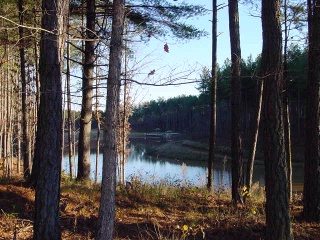 Anchors Landing Fishing Lakes