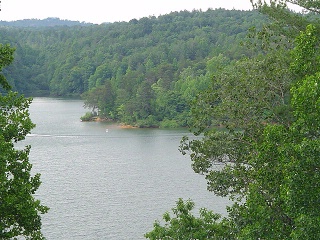 Beautiful Wooded Shoreline.