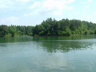 Serenity Bay Wooded Shoreline.